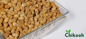 پخش-عمده-توت-خشک-درجه-یک